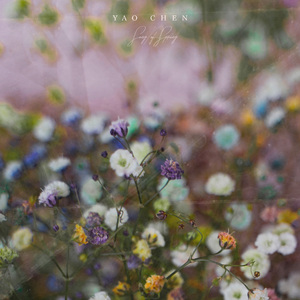 日韩区二区在线
